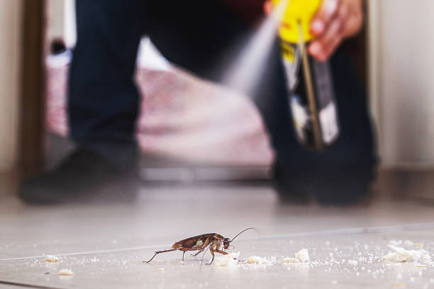 Reliable Campbellsburg, KY Pest Control Solutions